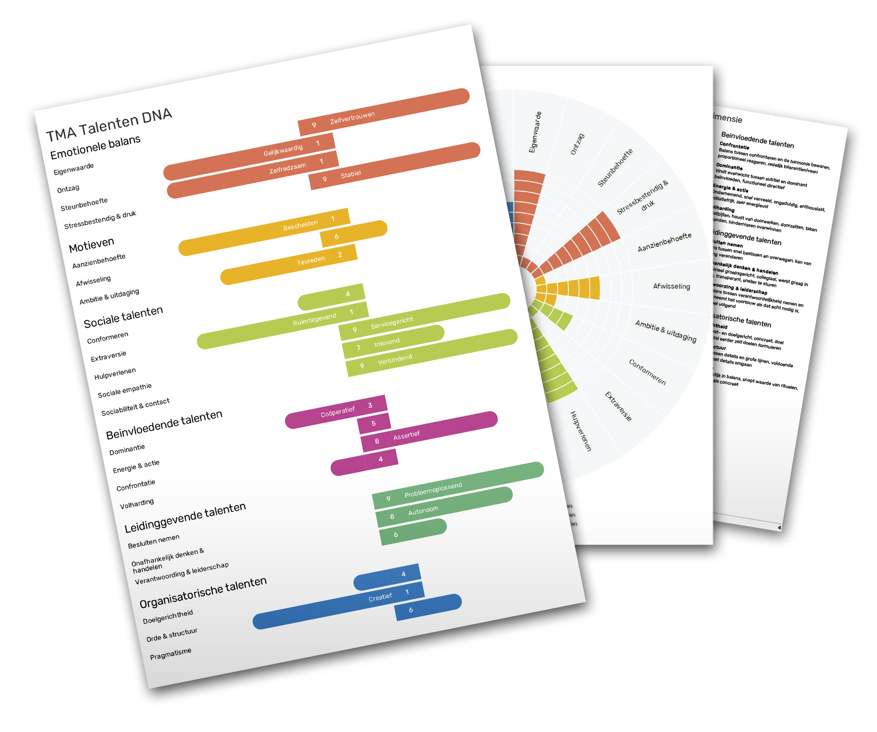 TMA analyse rapportage