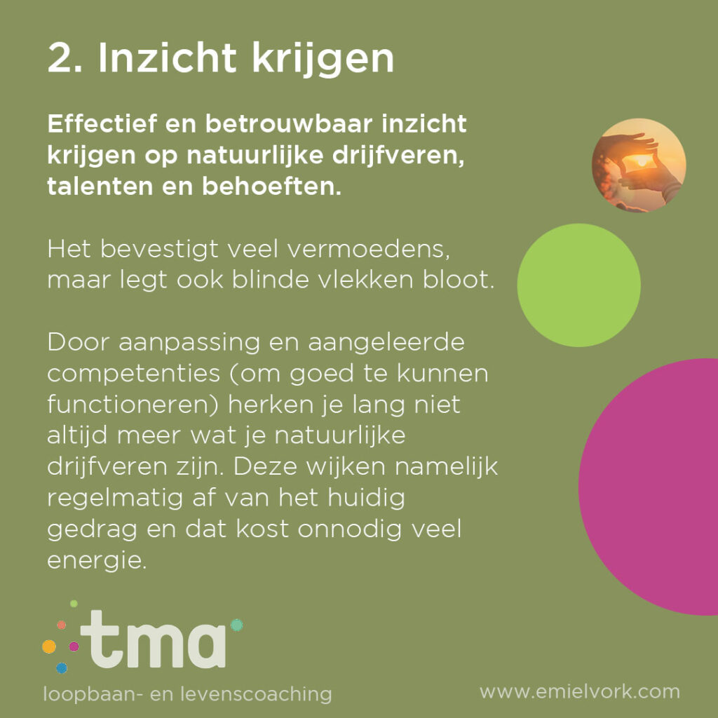 Instagram post from emielvork_coaching. This post is in position 2.