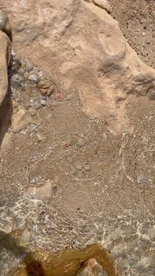 Instagram post from emielvork_coaching. This post is in position 18.