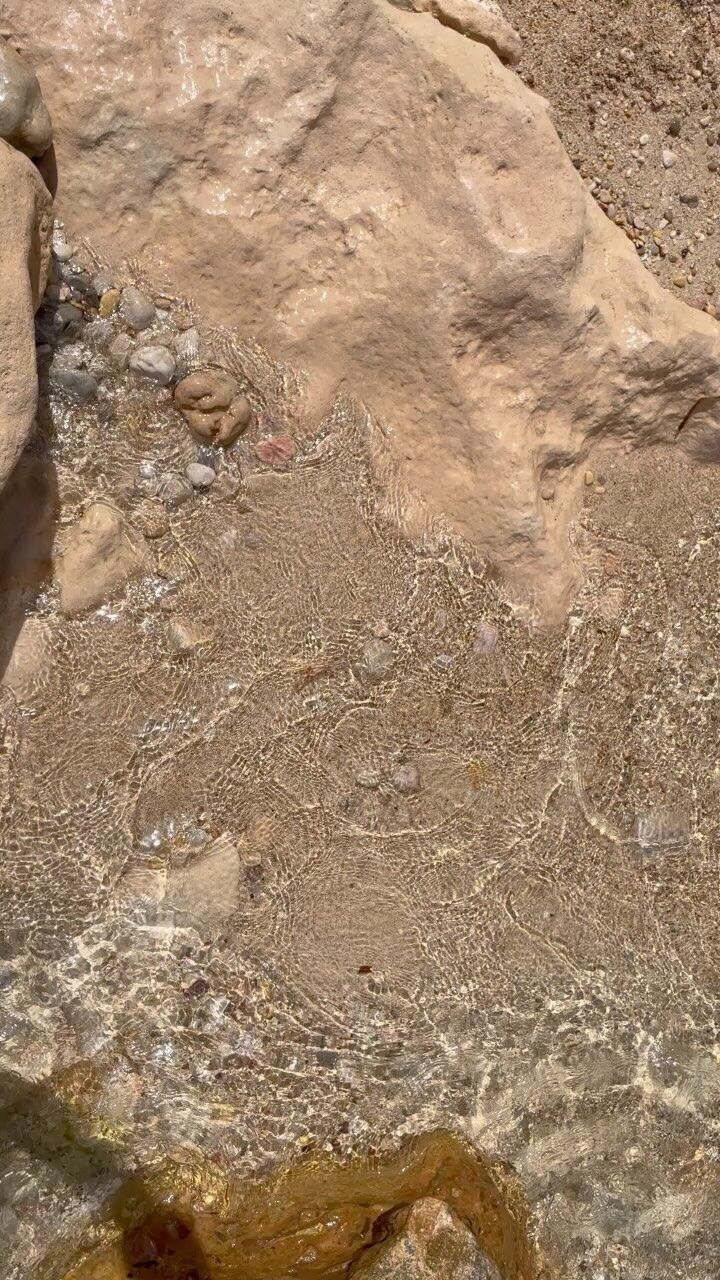 Instagram post from emielvork_coaching. This post is in position 17.