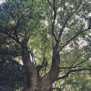 Instagram post from emielvork_coaching. This post is in position 14.